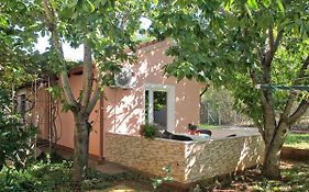 Holiday Home Catarina 1 - Zad113 By Interhome
